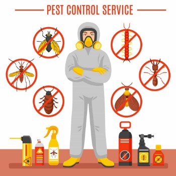Fast Pest Control Services NY