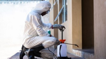 pest control services in NY