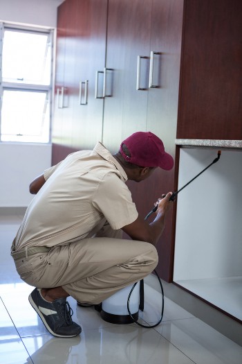 Commercial Pest Control Services NY