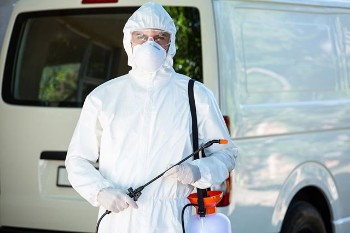 Fast Commercial Pest Control Services NY