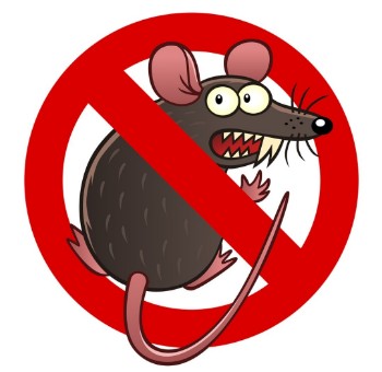 Rodent Control Services in NY